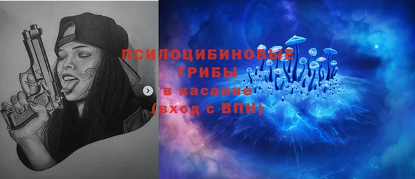 скорость Гусь-Хрустальный