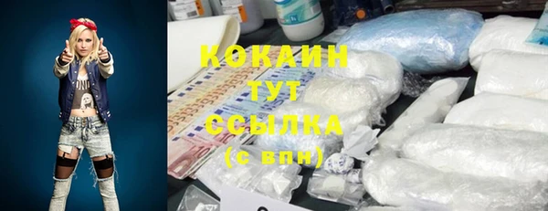 сатива Ступино