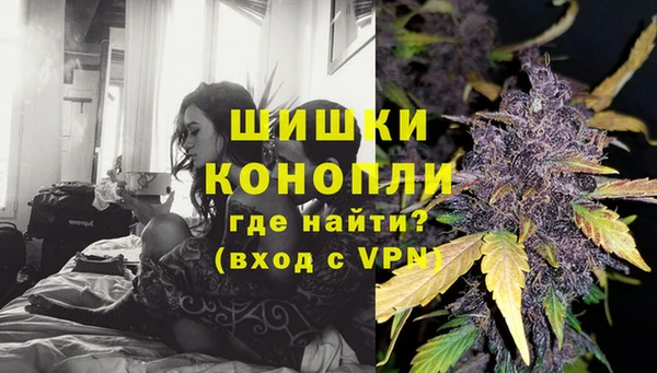 ALPHA PVP Гусев