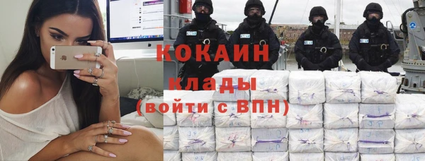 ALPHA PVP Гусев