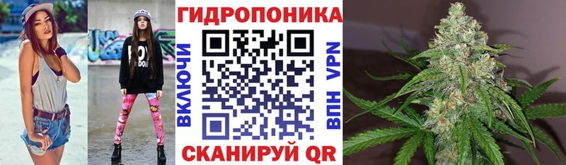Шишки марихуана ГИДРОПОН  гидра вход  Череповец  купить  цена 